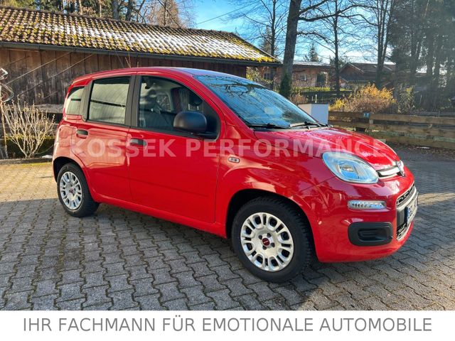 Fiat Panda Easy1.2 69PS/Klima/PDC/1.Hand/Lückenlos SH