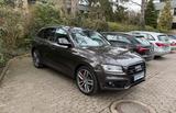 Audi SQ5 3.0 TDI competition tiptronic quattro - - Audi SQ5 Gebrauchtwagen in Hamburg