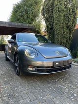 Volkswagen VW Beetle Cabriolet 1.6 TDI Design, Leder, Xenon - Volkswagen Beetle mit Diesel-Antrieb: Cabrio