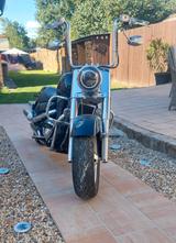 Suzuki VL 1500 - Angebote