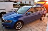 Skoda Octavia 2.0 TSI DSG 4x4 Ambition Combi Ambition - Skoda Octavia: Allradantrieb, 2.0