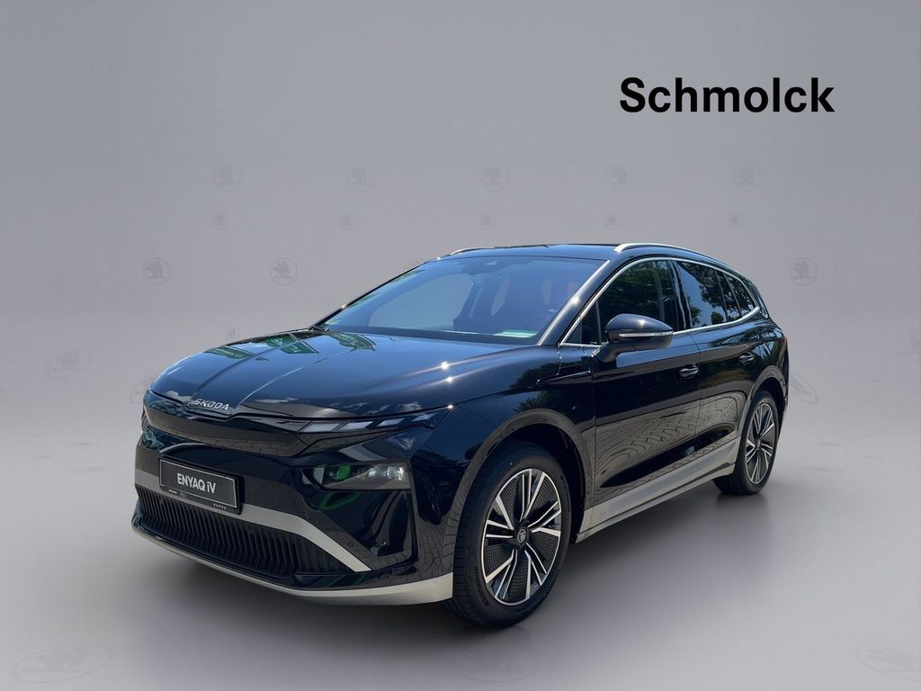 Skoda Enyaq 60 PLUS AHK WINTER NAVI LED DAB PDC RFK