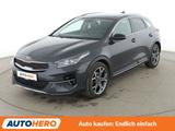 Kia 1.5 TGDI Platinum Edition Aut.*AHK*NAV*ACC* - Kia XCeed mit Anhängerkupplung