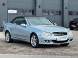 Mercedes-Benz CLK 200 Kompressor Cabrio Avantgarde Xenon Navi - Mercedes-Benz CLK 200 mit Benzin-Antrieb: Cabrio