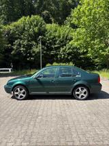 Volkswagen Bora 1.9TDI 4motion Trendline Trendline - Volkswagen Bora: 4motion