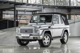 Mercedes-Benz G 500 AUT KlimaA LM Leder Navi PDC SHZ elSitz - Mercedes-Benz G 500: Cabrio