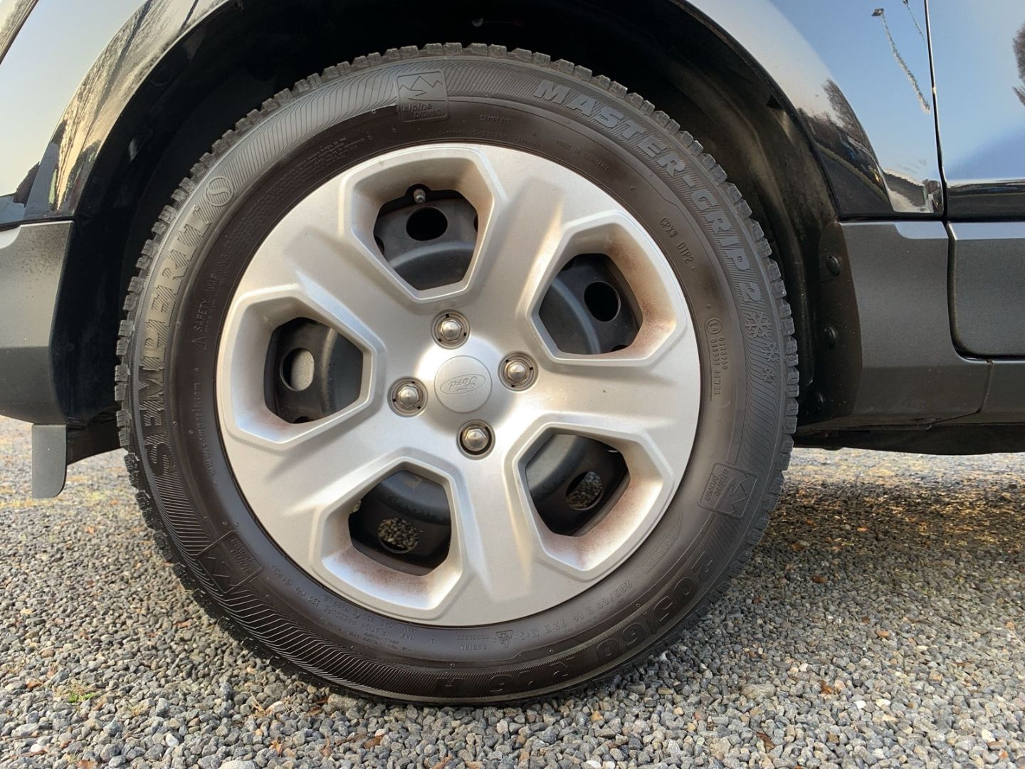 Fahrzeugabbildung Ford EcoSport Titanium, Navigation, Sitz-u. Lenkradhe