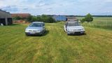 Volkswagen VW Golf IV Variant 1.9 TDI, TÜV bis 09/202... - Volkswagen Golf: Variant TDI Iv