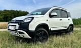 Fiat Panda 0.9 8V TwinAir CROSS 4X4 RFK, TÜV neu - Fiat Panda: Kleinwagen