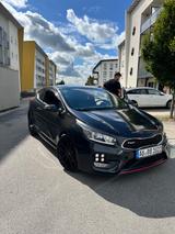 Kia pro_cee'd / ProCeed 1.6 T-GDI GT-Cup pro_cee... - Kia pro cee'd / ProCeed aus 2014