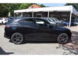 Alfa Romeo Stelvio Veloce Q4 2.0 Turbo - Panoramadach - - Alfa Romeo Stelvio in Hamburg