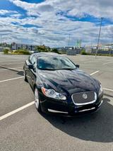 Jaguar XF 2.7 Vollausstatung Tüv 2027 - Jaguar XF: 2.7