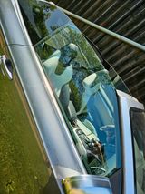 Audi S5 3.0 TFSI S tronic quattro Cabriolet - - Audi S5: 3.0