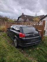 Opel Signum 1.9 Diesel - Opel Signum mit Diesel-Antrieb: Kombi, 1.9