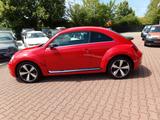 Volkswagen Beetle Lim. Sport, Fender Edition, Leder , Xenon - Volkswagen Beetle: Rot