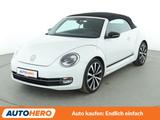 Volkswagen Beetle 1.4 TSI Club BlueMotion Tech Aut.*NAV* - Volkswagen Beetle: Cabrio
