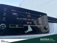 Skoda Kamiq - Vorschau Bild 19