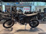 Yamaha XTZ700 Ténéré World Raid  - Offers