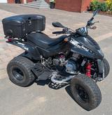 Dinli Rookie 300 Special (Modell DL801-300) - QUAD 80