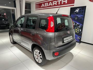 Bild 6 Fiat Panda Easy