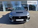 Ford Mustang Convertible 5.0 Ti-VCT V8 328 kW GT Navi - Ford mit Benzin-Antrieb: Cabrio