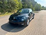 Volkswagen Beetle Lim. Basis 1.2TSI/ Klima/Navi/Xenon - gebrauchte VW Sportwagen