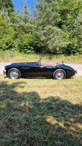 Austin Healey Andere - Austin Healey Gebrauchtwagen von 1961