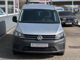 Volkswagen Caddy Maxi Maxi TDI Nfz Kasten *REGAL*KLIMA - Volkswagen Caddy Maxi: Kasten
