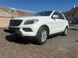 Mercedes-Benz ML 350 BlueTEC 4MATIC -sehr gepflegt Panoramdach - Mercedes-Benz ML 350: 4matic
