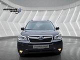 Subaru Forester Exclusive Pano Navi AHK Kamera - Subaru Forester in Frankfurt (Main)