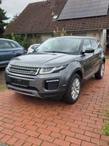 Land Rover Evoque SE Navi Leder Panorama el. Sitze Kamera - Land Rover: Schiebedach
