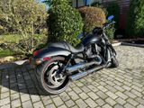 Harley-Davidson Night Rod special erst 6050 km, 1.Hand - Offers matching your search criteria