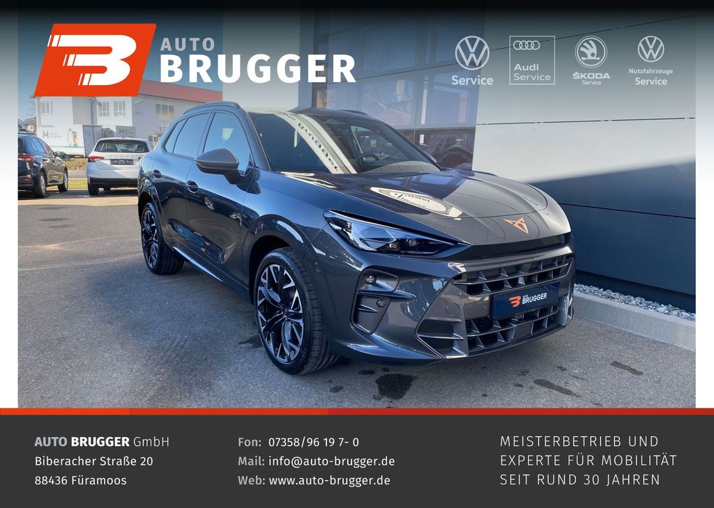 Terramar VZ 2.0 TSI DSG 4DRIVE MATRIX NAVI HU...