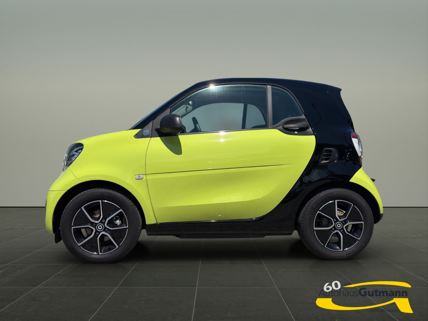 Fahrzeugabbildung Smart fortwo coupe electric drive EQ Panorama Soundsys