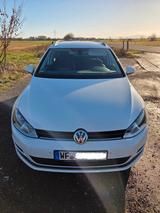 Volkswagen Golf VII 1.6 TDI BMT Variant CUP-Edition - Volkswagen Golf: V Edition