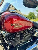 Harley-Davidson softail custom fxstc - HARLEY-DAVIDSON FXST