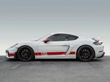 Porsche Cayman GT4 Sports Cup Edition Vollschalensitze - Porsche Cayman in Stuttgart