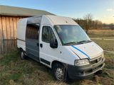 Fiat Ducato 244 4x4 Dangel Allrad - Fiat Ducato: X