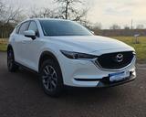 Mazda CX-5 Exclusive-Line AWD LED AHK  8 Fach Alu - Mazda aus 2019