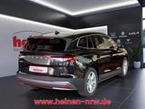 Skoda Enyaq 80 Suite 4xSHZ+NAVI+LEDER+ACC+LED+PDC - schwarze Skoda Enyaq
