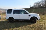 Land Rover Discovery 3.0 V6 Diesel, 7-Sitzer, Standhzg, AHK - Land Rover Discovery mit Diesel-Antrieb: Geländewagen, 3.0