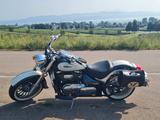 Suzuki VL800C*sehr gepflegt* - SUZUKI VL 800 C