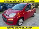 Fiat FIAT Panda 1.2 Red Collection - Fiat Panda: Red