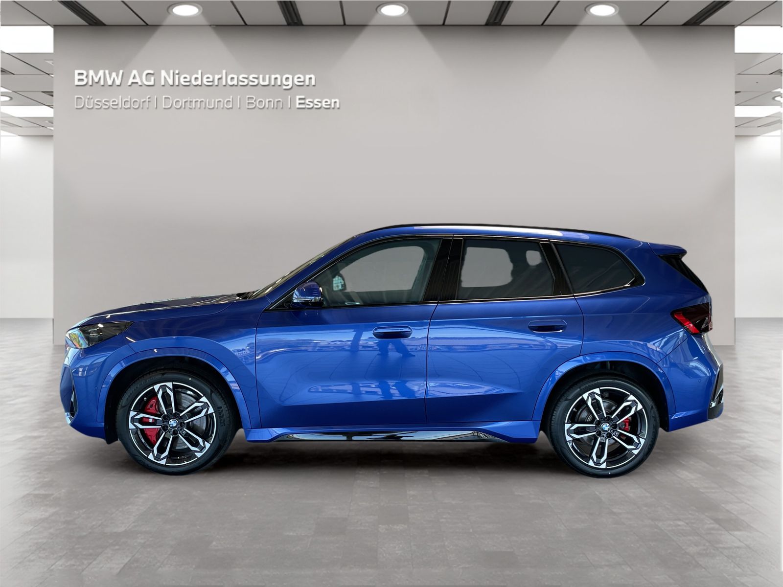 BMW X1 sDrive20d M Sport AHK Driv.Assist.Prof LED foto 5