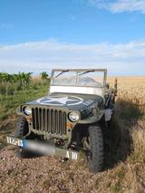 Jeep Willys MB/ Hotchkiss - Jeep Willys Gebrauchtwagen