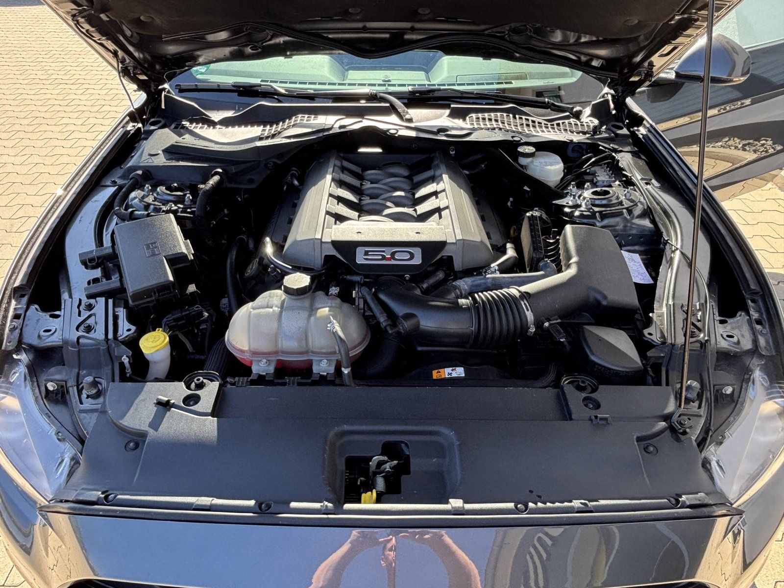 Ford Mustang (GT 5.0 Fastback 20Zoll/KW-V3/COC/SYNC3)