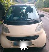 Smart smart for two tüv neu - gebrauchte Smart ForTwo aus dem Jahr 1999