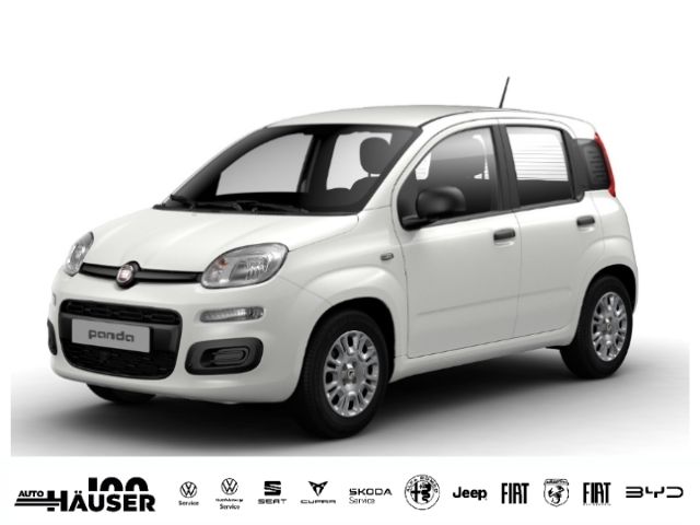 Image of Fiat Panda