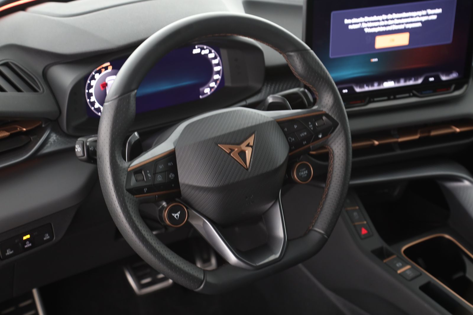 Cupra Terramar - Bild 12