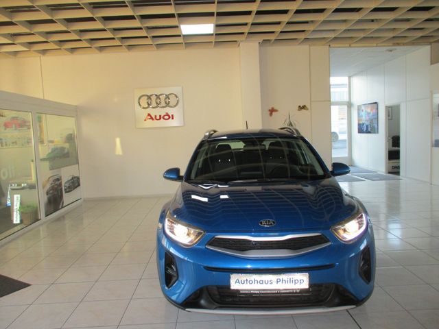 Kia Stonic Edition 7  1,2  84 PS /Kamera PDC